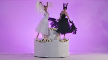 Siyah beyaz kuğu gibi giyinmiş iki genç balerin çiçek ve pullarla süslenmiş dekoratif bir pasta üzerinde dans ediyorlar. Pembe stüdyo arka planında kadınlar yavaş çekimde zarifçe hareket eder..