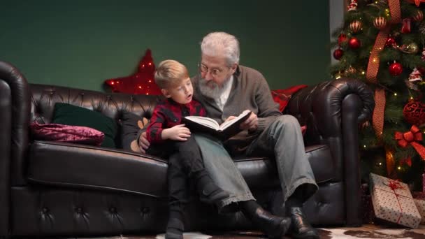 El abuelo le lee un cuento a su nieto antes de acostarse. Elegante hombre de pelo gris con un niño pequeño está sentado en un sofá en una habitación decorada cerca de un árbol de Navidad brillante. Movimiento lento. — Vídeo de stock