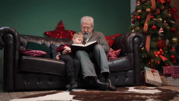 할아버지는 잠자는 손자에게 동화를 읽어 준다. 어린 남자 아이와 함께 우아 한 회색 머리의 남자가 빛나는 크리스마스 트리 근처의 장식 된 방에 있는 소파에 앉아 있습니다. 느린 동작. — 비디오