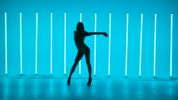 鮮やかな多色のネオン管を背景に、スタジオで踊る少女のシルエット。女の子はコンテンポラリーダンスをしています,大きな動き彼女の腰と手でスローモーション. — ストック動画