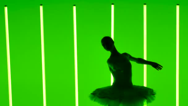 Silhouet van jonge flexibele ballerina in witte ballettutu en puntschoenen. Gracieuze dans van klassieke ballet elementen tegen de achtergrond van heldere neon lichten in donkere studio. Langzame beweging. Sluiten. — Stockvideo