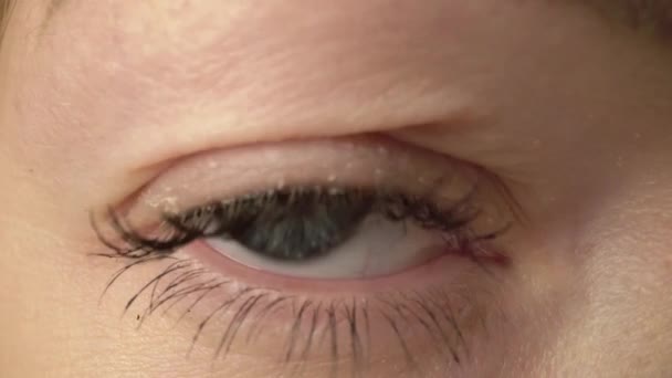 Menina olho marrom com interface de software futurista. Fechar — Vídeo de Stock