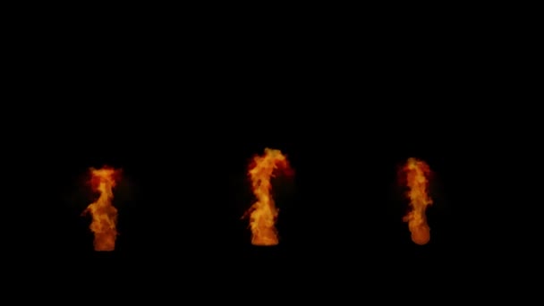Три полум'я горить на чорному тлі. Справжній вогонь. Прозорий фон . — стокове відео
