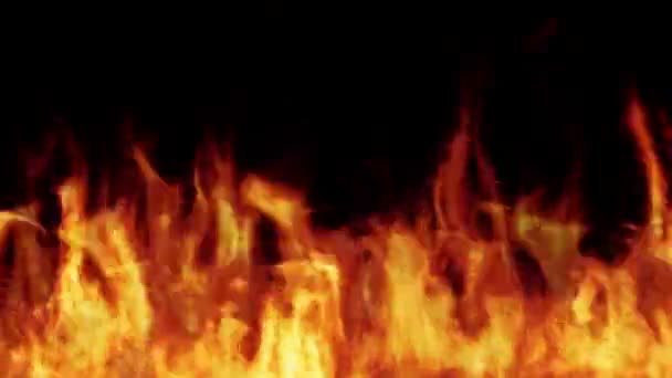 Eine Reihe echter Flammen, die auf schwarzem Hintergrund brennen. Echtes Feuer. Transparenter Hintergrund. Nahaufnahme — Stockvideo