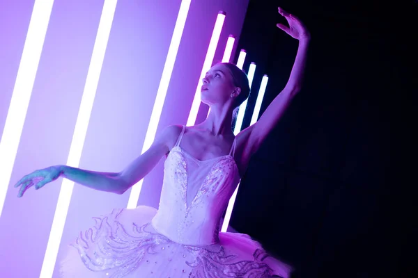 Retrato de uma bailarina em um tutu branco fazendo uma bela pose. Um dançarino de balé gracioso graciosamente posa contra o pano de fundo de luzes de néon brilhantes em um estúdio escuro. — Fotografia de Stock