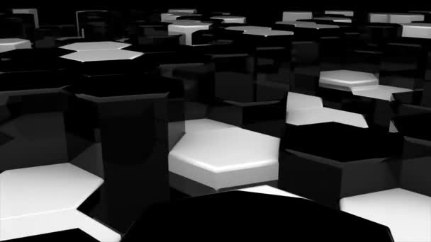 추상 육각형 흰색과 검은 기하학적 표면 루프, 임의의 운동 역반 — 비디오
