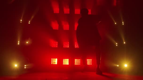 Silhouette einer talentierten jungen Hip-Hop-Tänzerin. Hip-Hop-Streetdance auf einer Bühne im dunklen Studio mit Rauch und Neonlicht. Dynamische Lichteffekte. Kreative Fähigkeiten. Zeitlupe. — Stockvideo