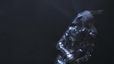 Parlak aynalı kostümlü, boğa kafalı ve boynuzlu iki aktör festival partisinde dans ediyor. Işıklara yansıyan siyah arka plandaki dumanlı stüdyoda yansıyan insanları göster. Kapatın. Yavaş çekim.