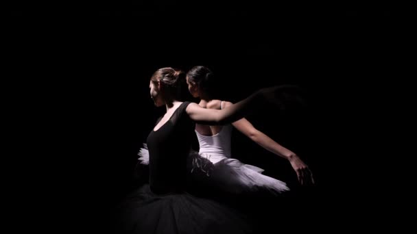 Siyah ve beyaz kuğu şeklinde büyüleyici bir çift balerinin yörünge çekimi. Genç ince dansçılar arka planda siyah bir stüdyoda süzülüyorlar. Siluetler. Kapatın. Yavaş çekim. — Stok video