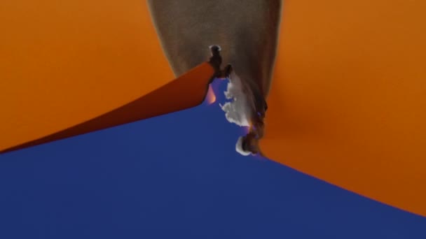 Feuille orange de papier brûle et fume sur écran bleu clé chromatique. Le feu brûle le papier du milieu de la feuille et le transforme en cendres. Parfait pour de belles transitions vidéo. Ferme là. Mouvement lent. — Video