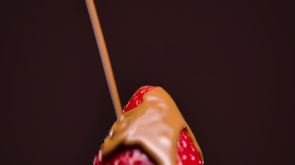 A stream of melted milk chocolate pours over ripe juicy strawberries. The red berry is wrapped in sweet hot chocolate. Isolated on dark purple background. Close up. Slow motion. — Stock Video