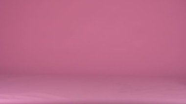 Jack Russell stüdyoda elinde bir hediye olan pembe arka planda bir kutuyla kameranın önünden geçiyor. Hayvan doğum günü. Ağır çekim. Kapat..