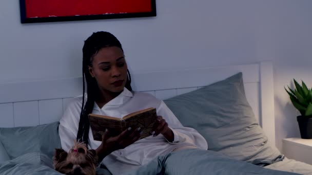 A csinos afro-amerikai nő szeret egy érdekes könyvet olvasni. Fekete nő pózol a hálószobában pizsamában a kutyájával Yorkshire Terrierrel. Közelről. Lassú mozgás.. — Stock videók