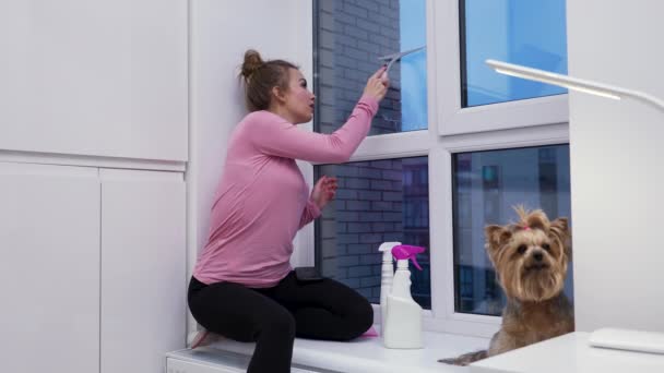 La mujer se sienta en el alféizar cerca de la ventana grande, lava el cristal y habla por teléfono con sorpresa y deleite. Mujer en ropa de casa posa junto a su perro contra el telón de fondo de la sala de luz. Movimiento lento. — Vídeo de stock