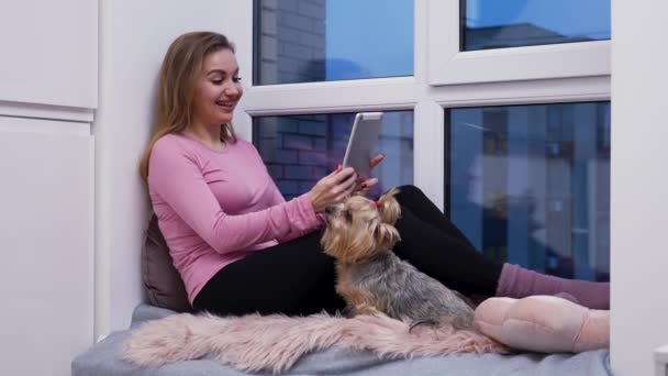 Egy fiatal nő ül az ablakpárkányon, közel a nagy ablakhoz, digitális táblagéppel beszél videóhívásról. Házi ruhás nő pózol a Yorkshire terrier kutyája mellett a fényszoba hátterében. Lassú mozgás.. — Stock videók