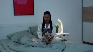 Güzel Afrikalı Amerikalı kadın telefona bakar ve zaferi kutlar. Siyah kadın, yatakta pijamalarıyla köpeği Yorkshire Terrier ile poz veriyor. Yavaş çekim.