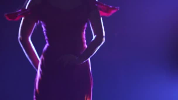 Camera pans over slender body of woman in red dress dancing passionate flamenco. Dancer performs Argentine choreography against the backdrop of dark smoky studio with blue lights. Close up silhouette. — Stock Video