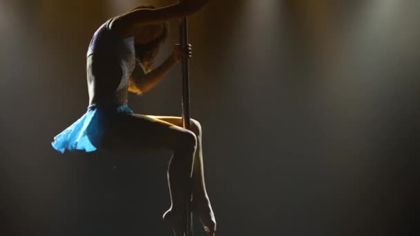 Çekici bir fitness kadınının silüeti direğin üzerinde egzersiz yapıyor. Spor direği dansı, aerobik öğeleri, spor yaşam tarzı. Karanlık bir stüdyoda duman ve ışıklarla egzotik bir dans. Kapat.. — Stok video