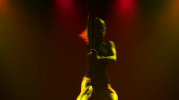 Schöner leidenschaftlicher Pole Dance, dargeboten von einer professionellen Striptease-Tänzerin. Eine junge Frau tanzt auf der Bühne in einem dunklen Studio vor einem Hintergrund aus bunten Blinklichtern. Silhouette — Stockvideo