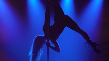 Çekici striptiz dansçıları direk üzerinde numaralar yapar. Dar takım elbiseli ve yüksek topuklu seksi bir esmerin silüeti. Karanlık bir stüdyoda dumanlı ve mavi ışıklı egzotik bir dans. Kapat..