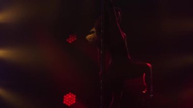 Egzotik bir striptizci gece kulübünde gösteri yapıyor. İnce, çekici bir striptizcinin silueti çok renkli neon ışıkların altında beliriyor. Kapat..