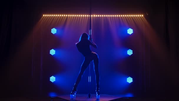 Zadní pohled na sexy striptérský tanec u tyče. Blondýnka eroticky hýbe boky, šplhá po tyči a roztahuje nohy v štěrbině. Smyslný tanec u tyče v tmavém ateliéru s modrým světlem. Silueta. Zpomalený pohyb. — Stock video