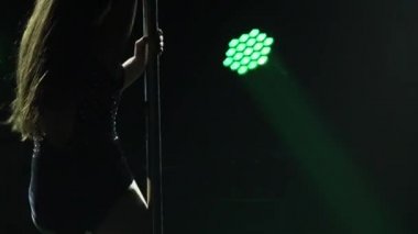 Egzotik bir striptizci gece kulübünde gösteri yapıyor. İnce, çekici bir striptizcinin silueti çok renkli neon ışıkların altında beliriyor. Kapatın. Yavaş çekim.