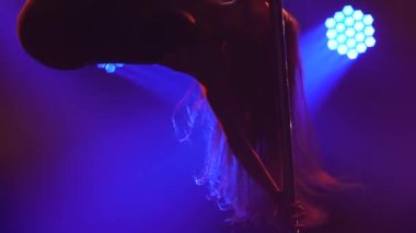 Egzotik bir striptizci gece kulübünde gösteri yapıyor. İnce, çekici bir striptizcinin silueti çok renkli neon ışıkların altında beliriyor. Kapatın. Yavaş çekim.