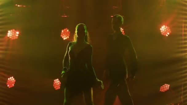 Elements of classical ballroom Latin American dance performed by a pair of professional dancers. Rumba, samba, cha-cha-cha, jive. Silhouettes of men and women dancing close up. — Stock Video