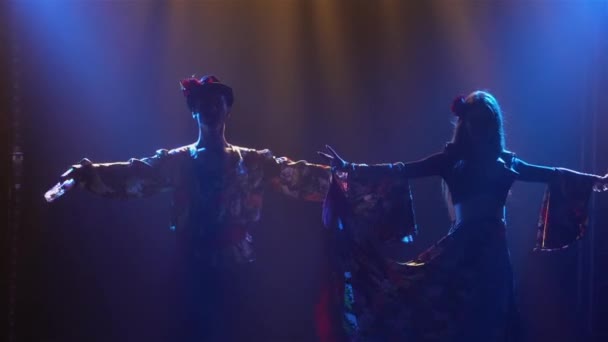 Silhueta casal dançarinos em romany roupas dançando alegremente no estúdio escuro contra o fundo de luzes brilhantes. Homem e mulher dançando dança cigana se apresentando em show teatral. Fecha. Movimento lento. — Vídeo de Stock