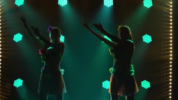 Duas dançarinas adoráveis dançam dança havaiana, movendo plasticamente seus corpos e quadris. Silhuetas de mulheres semi-nuas dançando no luau festa havaiana contra o pano de fundo de luzes coloridas. Fechar. — Vídeo de Stock