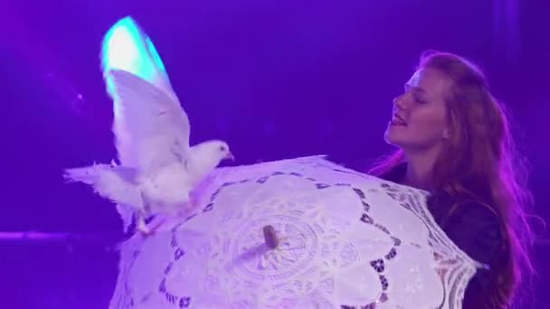 Woman rotates lace umbrella, on which white trained pigeons sit and walk in circle. Professional circus show with birds in dark studio against background of purple lights. Close up. Slow motion. — Stock Video