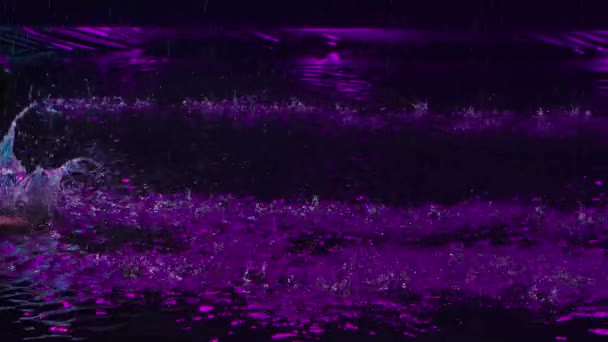Çıplak gövdeli ıslak bir adam yağmurda suyun yüzeyinde dizlerinin üzerinde kayar. Karanlık stüdyoda mor ışıklarla poz veren erkek dansçı silueti. Ağır çekim. Kapat.. — Stok video