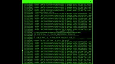 Bilgisayar ekranı terminalinde çalışan bir korsan kodu. Alfa kanalı.