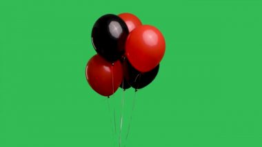 Birçok kırmızı ve siyah balon yeşil ekran krom anahtarına karşı havada asılı duruyor. Kurdeledeki helyum balonlarının renkli çeşmesini kapat. Doğum günü, parti dekorasyonu. Yavaş çekim.