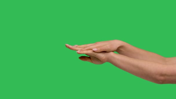 Female hand holding vintage antique lantern close up. Lamp without fire on the background of a green screen chroma key. Slow motion. — Stockvideo