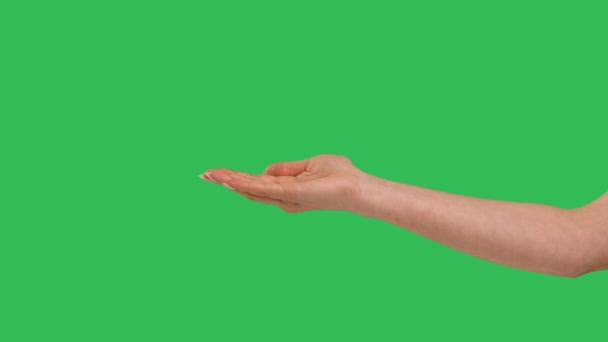 Закрыть боковой вид красивой протянутой женской руки, выделенной на зеленом фоне хромы экрана. Женщина держит пустую открытую плоскую ладонь, показывая что-то виртуальное и невидимое. замедленное движение. — стоковое видео