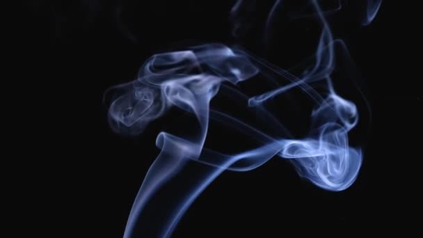 A jet of white smoke rises up against a black background. White smoke, a cloud of cold fog. Slow motion. Close up. — Stok video