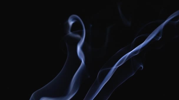 A realistic stream of fragrant smoke rises into the air. White smoke on a black background in slow motion. Close up. — Video Stock