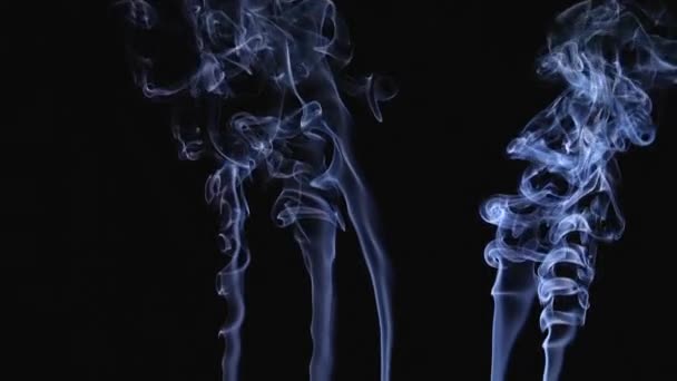 Weaving curls from streams of smoke streaming upward. White smoke on a black background ornate moves across the screen in slow motion. Close up. — Stock Video