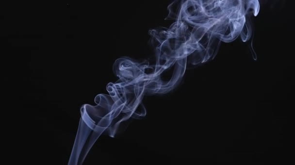 Um jato de fumaça branca sobe ao ar em padrões intrincados. Fumo branco, uma nuvem de nevoeiro frio, vapor sobre um fundo preto em câmera lenta. Fechar. — Vídeo de Stock