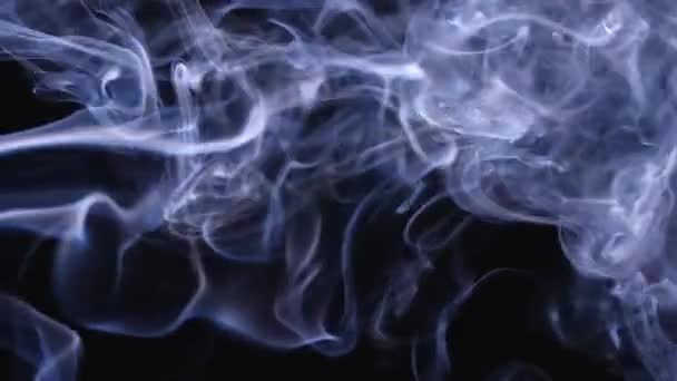 Nuvens de fumo branco flutuam no espaço. Os redemoinhos de sopros de fumaça fluem ornamentados contra um fundo preto em câmera lenta. Fechar. — Vídeo de Stock