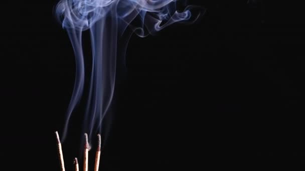 Brûler des bâtonnets d'encens et de la fumée isolés sur fond noir. Des jets de fumée provenant de bâtonnets d'encens fumants se transforment en bouffées. Au ralenti. Gros plan. — Video