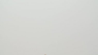 Üniformalı genç ponpon kız stüdyoda beyaz arka planda dans ediyor. Güzel amigo kız tezahürat yapıyor. Kadın ellerinde ponpon kızlar için Pomponlar. Kapatın. Yavaş çekim.