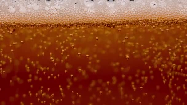 Detaillierte Makroaufnahme von Gasblasen und Bierschaum im Becher. Ein Glas kaltes und schmackhaftes Craft Beer aus nächster Nähe. In der goldenen Bierflüssigkeit steigen rasch Blasen auf. Zeitlupe. — Stockvideo