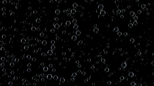 Sok oxigénben gazdag buborékok átlátszó ásványvízben, fekete háttérrel. Lassú mozgás. Közelről.. — Stock videók