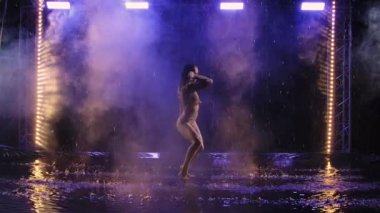 Şehvetli çağdaş dans, yağmur damlaları ve su damlaları arasında dumanda dalgalanıyor. Genç bir kadının silueti, lacivert ışıkla karanlık stüdyoda yumuşak bir şekilde hareket ediyor. Yavaş çekim.