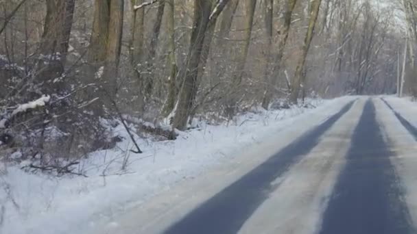 Auf der Spur der leeren Straße im verschneiten Winterwald. Die Kamera bewegt sich an frostigen, sonnigen Tagen auf einer asphaltierten Straße. Reisen Sie auf der Straße außerhalb der Stadt mit einer wunderschönen Naturlandschaft. Zeitlupe. Nahaufnahme — Stockvideo