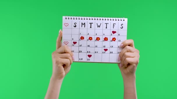 Vrouwelijke handen houden een vrouw periodes kalender, geïsoleerd op studio groen scherm chroma key achtergrond. Met haar wijsvinger wijst het meisje naar de kalender, toont haar duim naar beneden. Langzame beweging. Sluiten. — Stockvideo
