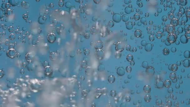 Bubbels dwarrelen onder water op een blauwe achtergrond. Fascinerende beweging onder het glas. Langzame beweging. Sluiten.. — Stockvideo